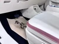 ORA Good Cat 2021 Model, 400km Standard Range, Venus Edition, Lithium Iron Phosphate — миниатюра 8