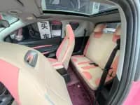 Little Ant 2021 Model, 150,000 Fan Edition, Queen Edition, Lithium Iron Phosphate — миниатюра 11