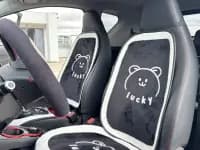 Little Ant 2023 Model 251km True Love Edition Lithium Iron Phosphate — миниатюра 6