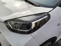 Little Ant 2021 Model, 200,000 Fans Edition, Talented Version, Ternary Lithium Battery, 301km — миниатюра 5