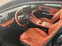 Fengyun A9L 2025 Model 260km Extended Range Premium Edition — миниатюра 6