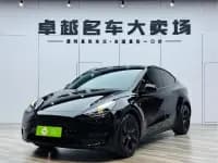 Model Y 2021 Standard Range Rear-Wheel Drive — миниатюра 1