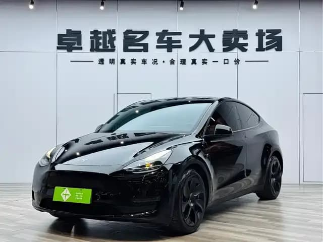 Model Y 2021 Standard Range Rear-Wheel Drive