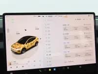 Model Y 2025 Long Range All-Wheel Drive First Edition — миниатюра 10