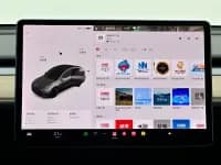 Model Y 2021 Long Range All-Wheel Drive — миниатюра 13