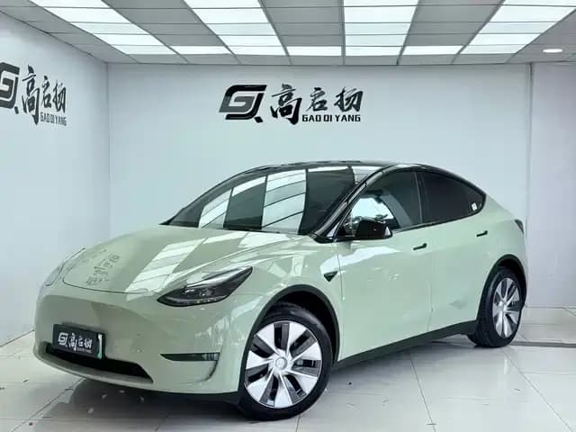 Model Y 2021 Standard Range Rear-Wheel Drive