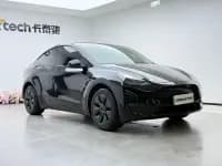 Model Y 2023 Long Range All-Wheel Drive — миниатюра 6