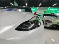 Model Y 2021 Performance All-Wheel Drive — миниатюра 16