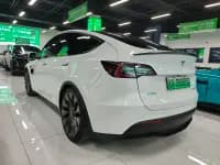 Model Y 2021 Performance All-Wheel Drive — миниатюра 7