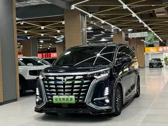 Denza D9 2024 DM-i 980 AWD Flagship