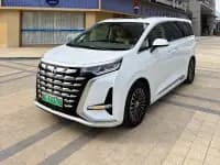 Denza D9 2022 DM-i 1040 Premium — миниатюра 1