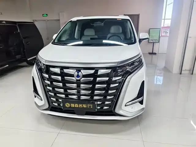 Denza D9 2024 DM-i 980 AWD Flagship