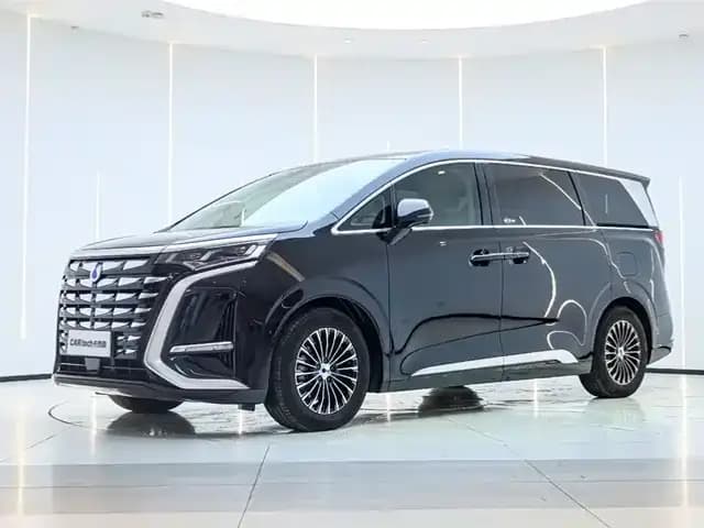 Denza D9 2024 DM-i 1050 Premium Edition