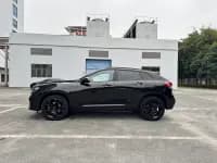 Weipai VV7 2020 2.0T Flagship Edition — миниатюра 39