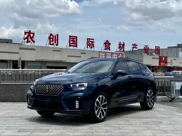 Weipai VV7 2020 2.0T Super Luxury Edition