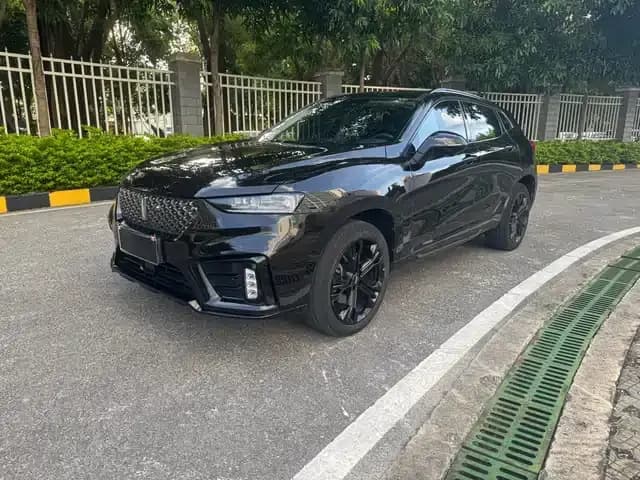 Weipai VV7 2020 2.0T Flagship Edition