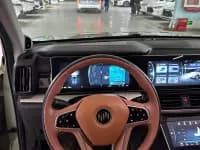 Weltmeister W6 2021 520km PRO All-Round Edition — миниатюра 10