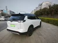 Weltmeister W6 2021 520km NEX Explorer Edition — миниатюра 5