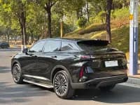 Yaoguang C-DM 2024 1.5T Long Range Pro — миниатюра 32