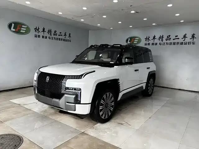 Looking up at the 2023 U8 Luxury Edition