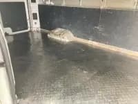 2022 Long Wheelbase Star Enjoy V (41.86kWh) — миниатюра 5