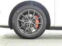 SmartDrive LS6 2025 Model - Lizard Intelligent Driving Edition — миниатюра 17