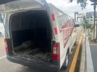 2022 Yangtze Finless Porpoise Model I Smart Edition, Guoxuan High-Tech — миниатюра 7