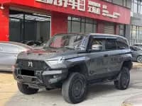 Warrior 917 2023 Pure Electric Basic Edition — миниатюра 1