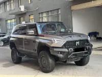 Warrior 917 2023 Pure Electric Basic Edition — миниатюра 8