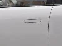 Firefly 2025 Illuminated Edition — миниатюра 18