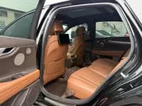 Genesis G80 2023 2.5T Rear-Wheel Drive Flagship Edition — миниатюра 14