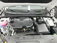 Binrui 2024 Model Binrui COOL 1.5T DCT Dragon Edition — миниатюра 23