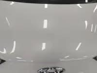 Chery Unlimited Pro 2022 301km/h Spirit Beast Edition Ternary Lithium Lithium — миниатюра 10