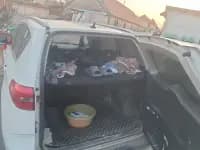 Kaiyi X3 2019 1.5L Manual Smart Edition — миниатюра 3