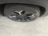 Big Ant 2020 High-Performance Pro Edition — миниатюра 5