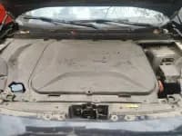 Big Ant 2020 High-Performance Pro Edition — миниатюра 9