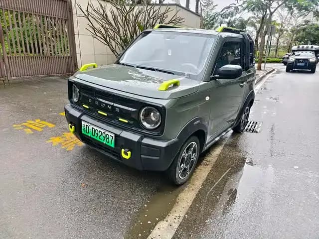 Panda 2025 Model 210km Panda Rider