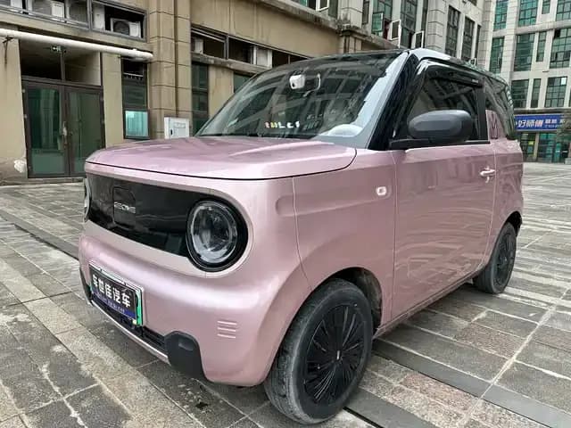 Panda 2023 Panda Mini 200km Agile Bear