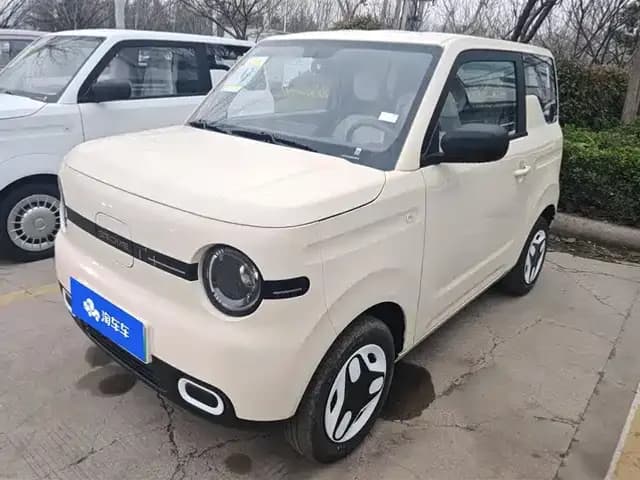 Panda 2025 Panda Mini 210km - Energetic Bear