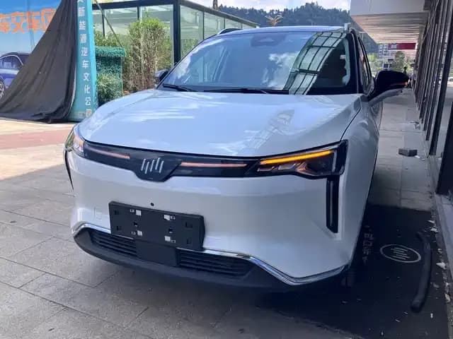 Weltmeister W6 2021 520km ACE Intelligent Edition